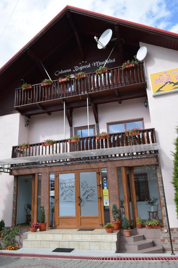 Pensiunea Bujor De Munte