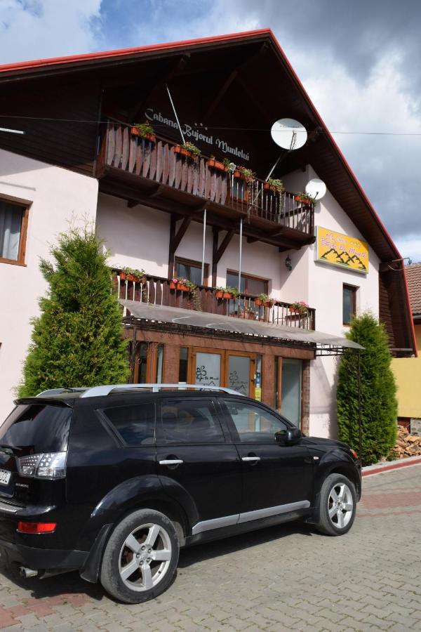 Hotel Pensiunea Bujor De Munte