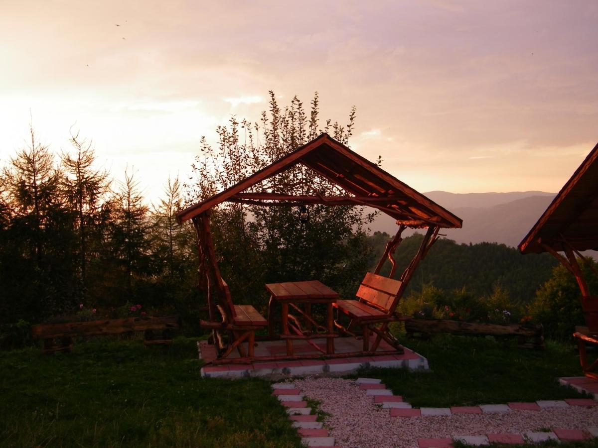 Hotel Pensiunea Bujor De Munte