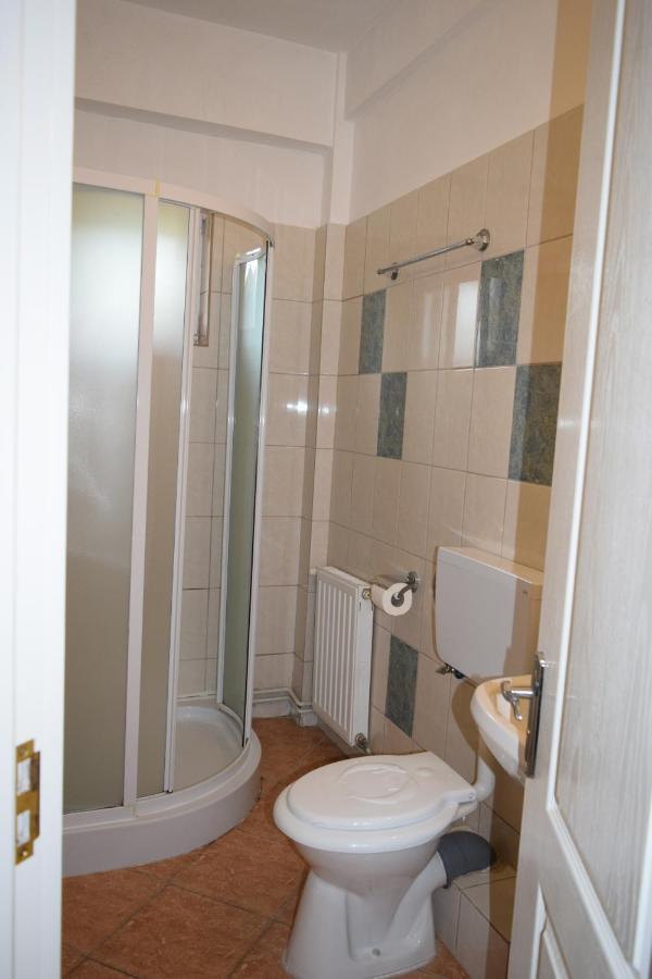 Hotel Pensiunea Bujor De Munte Petroşani