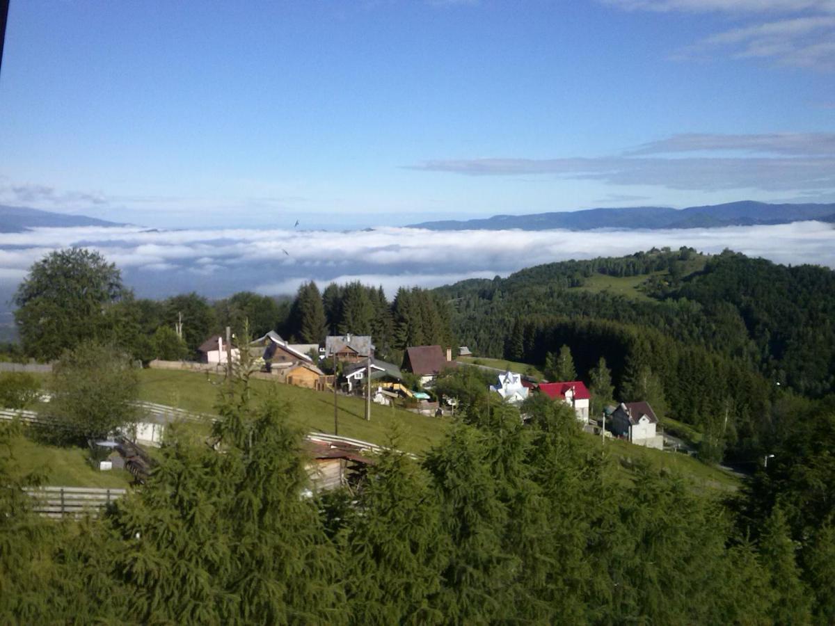 Hotel Pensiunea Bujor De Munte