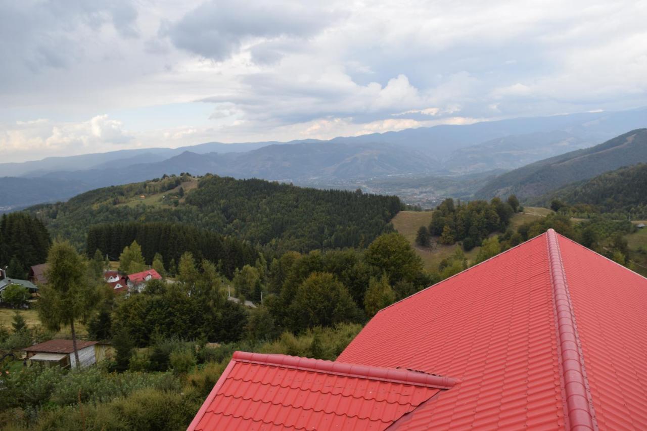 Pensiunea Bujor De Munte Hotel 3*