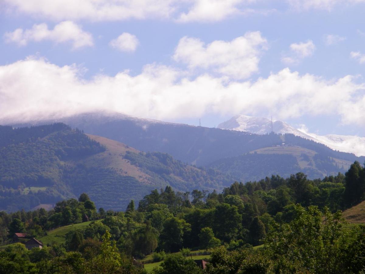 Pensiunea Bujor De Munte Hotel