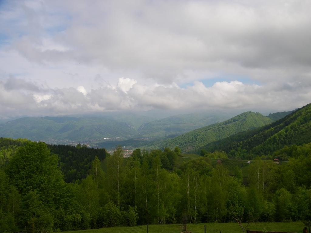 Pensiunea Bujor De Munte