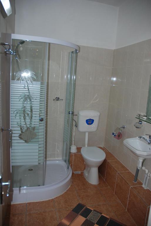 Pensiunea Bujor De Munte 3* Petroşani